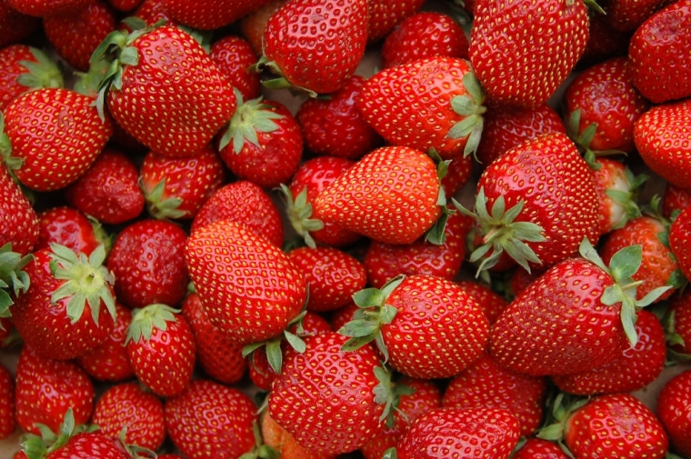 Arrivage de fraises dans votre magasin à Vinay