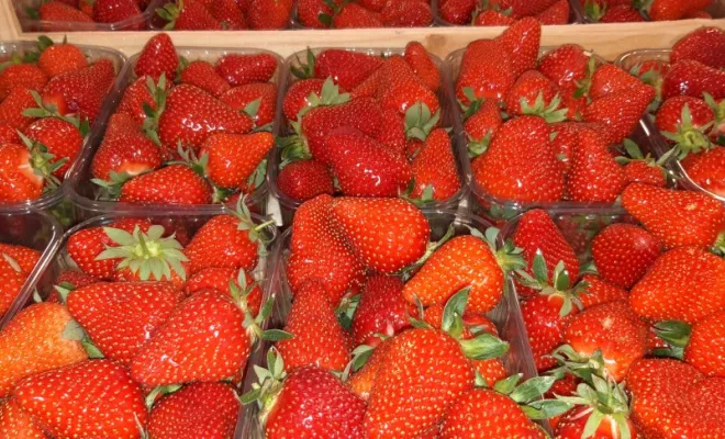 Vente de fruits direct producteur, Vinay, La Halle Fermière